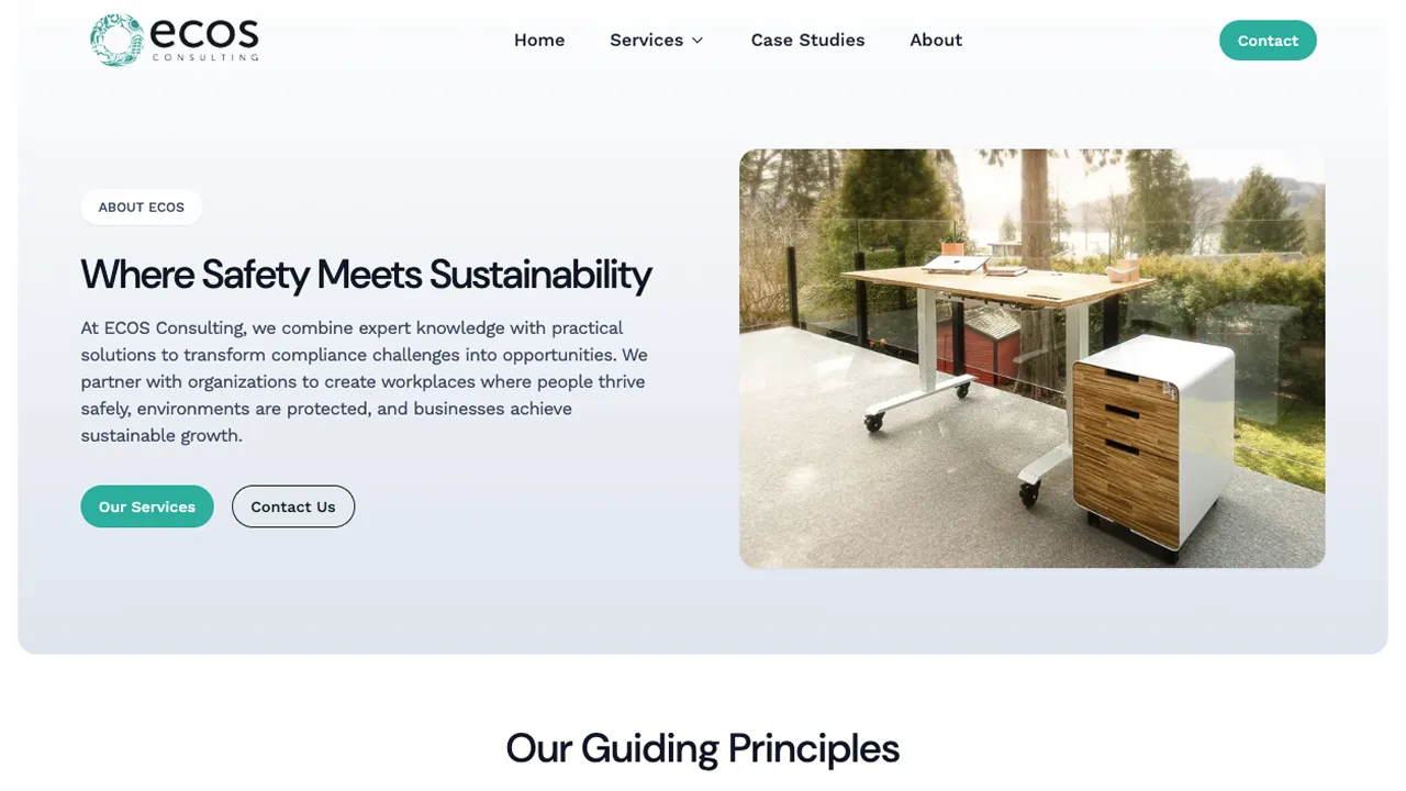 ECOS Consulting Websites project photo 1