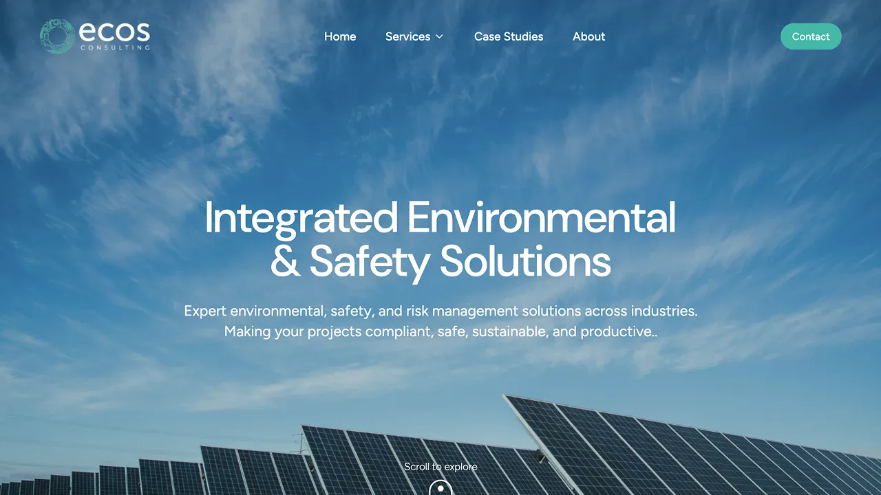 ECOS Consulting Websites project photo 2